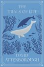 "The Trials of Life" von David Attenborough. Illustration: Zwei Wale in blauem Hintergrund, umgeben von Korallen.