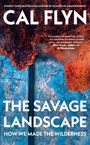 Büchertext: "Cal Flyn. The Savage Landscape. How We Made the Wilderness." Oben orange-brauner Lavastrom, unten blauer Schnee.