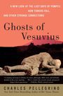 Charles R Pellegrino: Ghosts of Vesuvius, Buch