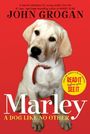 John Grogan: Marley, Buch