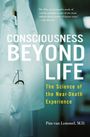 Pim van Lommel: Consciousness Beyond Life, Buch