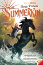 Sarah Prineas: Summerkin, Buch