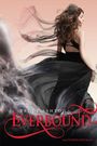 Brodi Ashton: Everbound, Buch