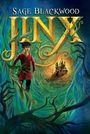 Sage Blackwood: Jinx, Buch