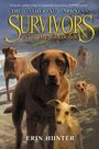 Erin Hunter: Survivors, Buch