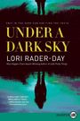 Lori Rader-Day: Under a Dark Sky LP, Buch