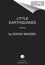 Sarah Mandel: Little Earthquakes, Buch