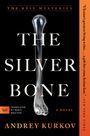 Andrey Kurkov: The Silver Bone, Buch