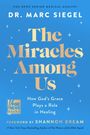 Siegel: The Miracles Among Us, Buch