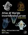 : Atlas of Marine Invertebrate Larvae, Buch
