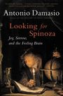 Antonio Damasio: Looking for Spinoza, Buch