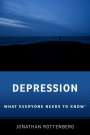 Jonathan Rottenberg: Depression, Buch