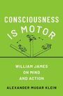 Alexander Mugar Klein: Consciousness Is Motor, Buch