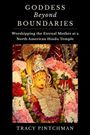 Tracy Pintchman: Goddess Beyond Boundaries, Buch