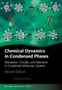 Abraham Nitzan: Chemical Dynamics in Condensed Phases, Buch