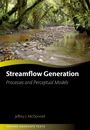 "Streamflow Generation: Processes and Perceptual Models" von Jeffrey J. McDonnell. Ein flacher Fluss in einem Wald.