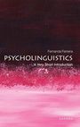 Fernanda Ferreira: Psycholinguistics, Buch