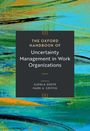 „The Oxford Handbook of Uncertainty Management in Work Organizations“, editiert von Gudela Grote, Mark A. Griffin. Abstrakte Malerei.