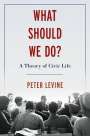 Peter Levine: What Should We Do?, Buch