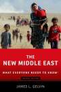 James L. Gelvin: The New Middle East, Buch