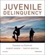 Robert Agnew: Juvenile Delinquency: Causes and Control, Buch