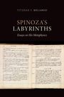 Yitzhak Y Melamed: Spinoza's Labyrinths, Buch