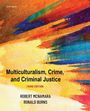 Robert Mcnamara: Multiculturalism, Crime, and Criminal Justice, Buch