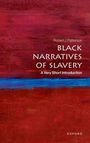 Robert J Patterson: Black Narratives of Slavery, Buch