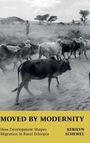 Kerilyn Schewel: Moved by Modernity, Buch