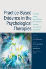 Ein Buchcover mit dem Titel: "Practice-Based Evidence in the Psychological Therapies". Unten eine abstrakte Illustration.