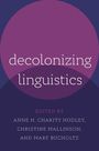 Anne H Charity Hudley: Decolonizing Linguistics, Buch