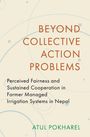 Atul Pokharel: Beyond Collective Action Problems, Buch