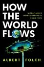 Albert Folch: How the World Flows, Buch