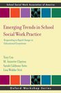 : Emerging Trends in School Social Work Practice, Buch