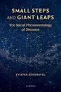Eviatar Zerubavel: Small Steps and Giant Leaps, Buch