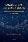 Text: "Small Steps and Giant Leaps: The Social Phenomenology of Distance, Eviatar Zerubavel, Oxford." Hintergrund: Sternenhimmel.