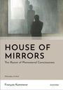 "House of Mirrors: The Illusion of Phenomenal Consciousness" von François Kammerer. Illustration: Silhouette einer Person.