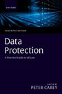 Titel: "Data Protection". "Seventh Edition", "A Practical Guide to UK Law", "Edited by Peter Carey". Tech-Hintergrund mit blauen Linien.