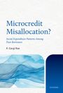P Gargi Rao: Microcredit Misallocation?, Buch