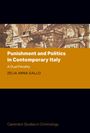 Zelia Anna Gallo: Punishment and Politics in Contemporary Italy, Buch