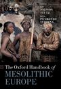Liv Nilsson Stutz: The Oxford Handbook of Mesolithic Europe, Buch
