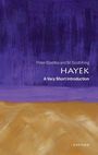 "Peter Boettke und M. Scott King, HAYEK, A Very Short Introduction. Abstrakte Illustration in Violett und Gelb."