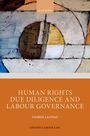 Ingrid Landau: Human Rights Due Diligence and Labour Governance, Buch