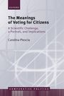 Carolina Plescia: The Meanings of Voting for Citizens, Buch