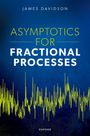 James Davidson: Asymptotics for Fractional Processes, Buch