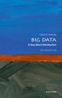 Dawn E. Holmes: Big Data, Buch