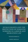 Titel: "Human Rights and the Protection of Domestic Workers in Labour and Migration Law". Autorin: Natalie Sedacca. Oberhalb ist eine abstrakte Illustration mit geometrischen Formen und vielfältigen Farben.