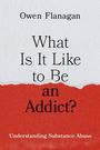 Owen Flanagan: What Is It Like to Be an Addict?, Buch