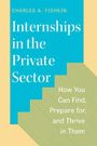 Charles A Fishkin: Internships in the Private Sector, Buch