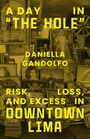 Daniella Gandolfo: A Day in the Hole, Buch